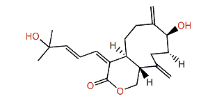 Xeniolide F